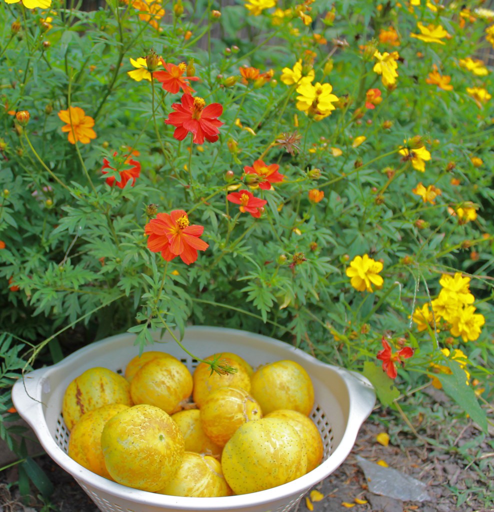 2013 08 19_0358_edited-1