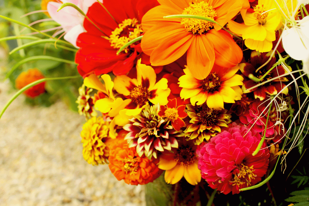 Vase-2014-heirloom-flowers-IMG_6496