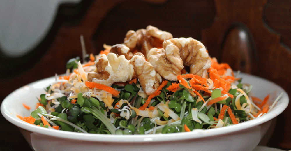 IMG_7385-1-microgreens-salad