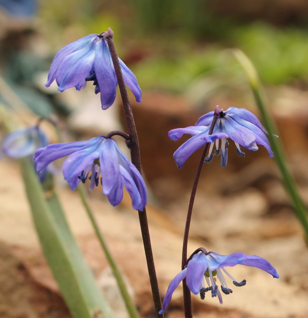 IMG_2291_4568_edited-1