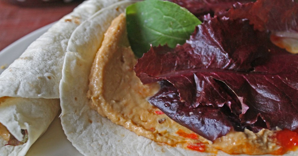 Fall Hummus wrap with fresh picked arugala and Merlot Red Lettuce. This Red Merlot Lettuce is getting a deep maroon red color...very good tasting I might add!