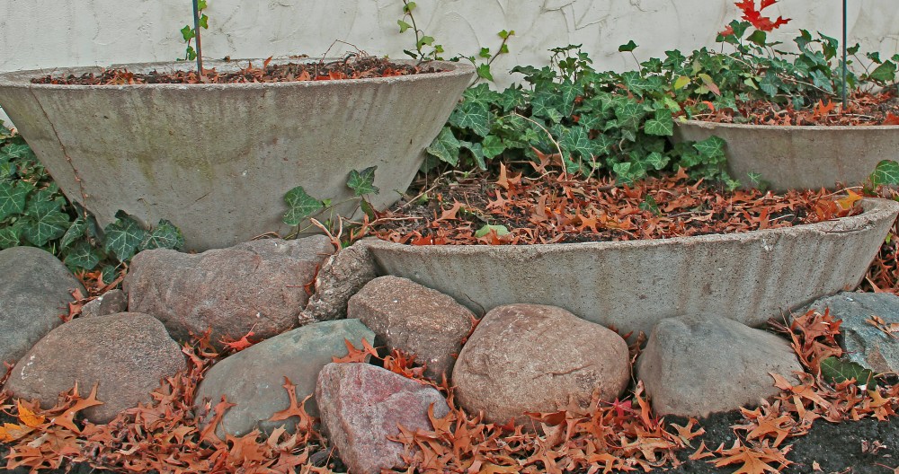 The man who built htis house created these stone containers. When we moved in they wer filled with evergreen shrubs and bees nests! I dug them out carefully, flooded the nests and now plan on putting more edible food in these containers ,too. I will be putting Swiss Chard, Kale, and various herbs and flowers to create an edible area that should provide food throughout the year next season in 2014.