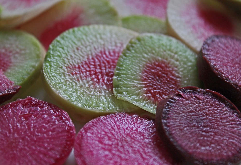 Watermelon Radish that I started in late summer, but I have some interesting colors here from this seed. That is a radish, not a beet!