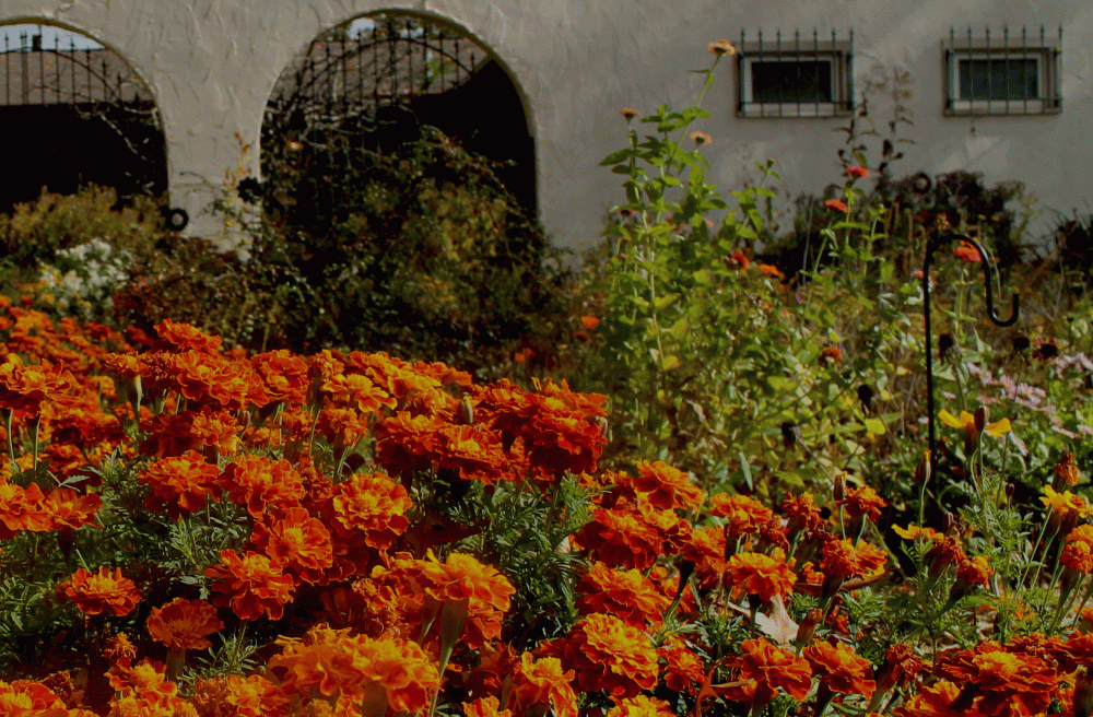 changing through the seasons of all our lives...