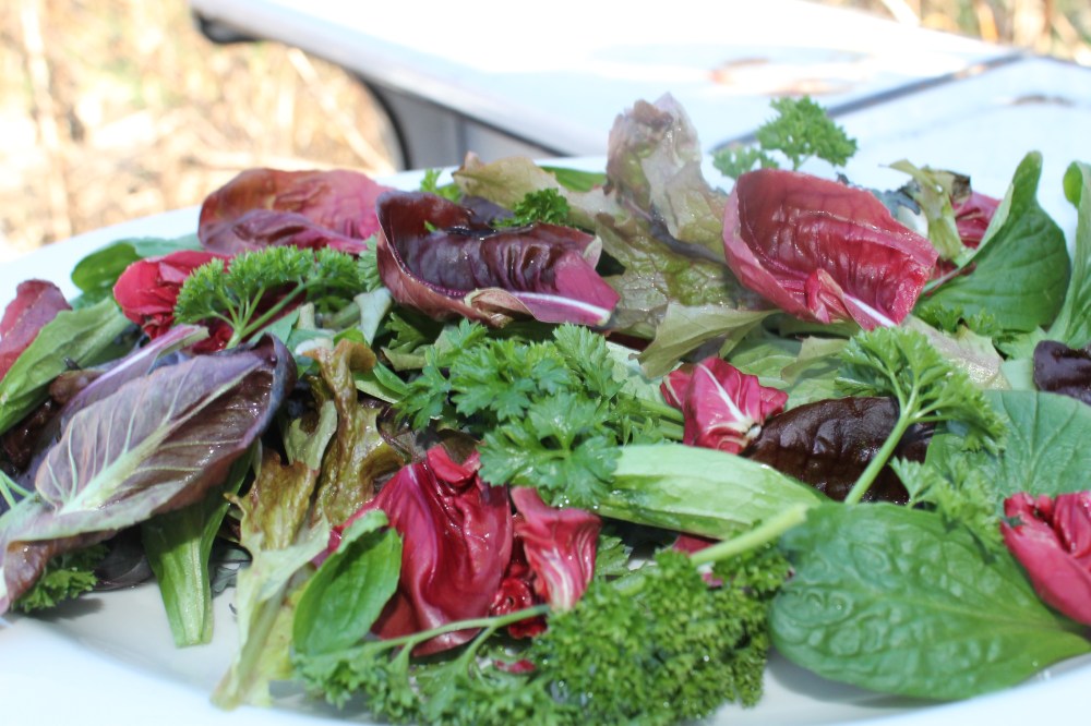 Copy (3) of IMG_5332