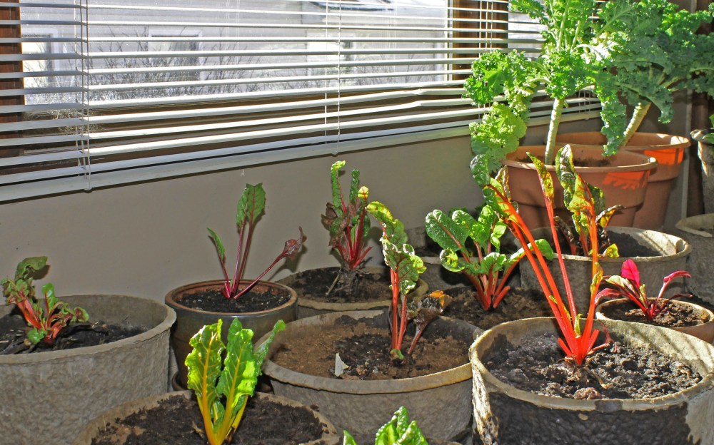 I don't need to keep the heat on since the sun warms it up