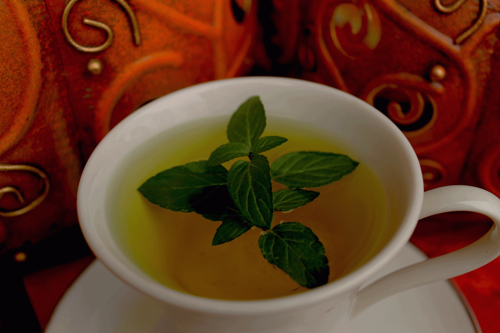 IMG_7167-fall-2014-cup-of-mint-tea
