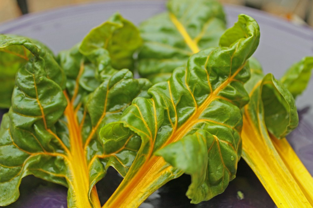 You only need a few Swiss Chard leaves and they keep regrowing pretty quickly...