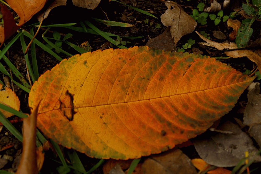 if you let change happen it turns into amazing things if you learn to accept + learn....