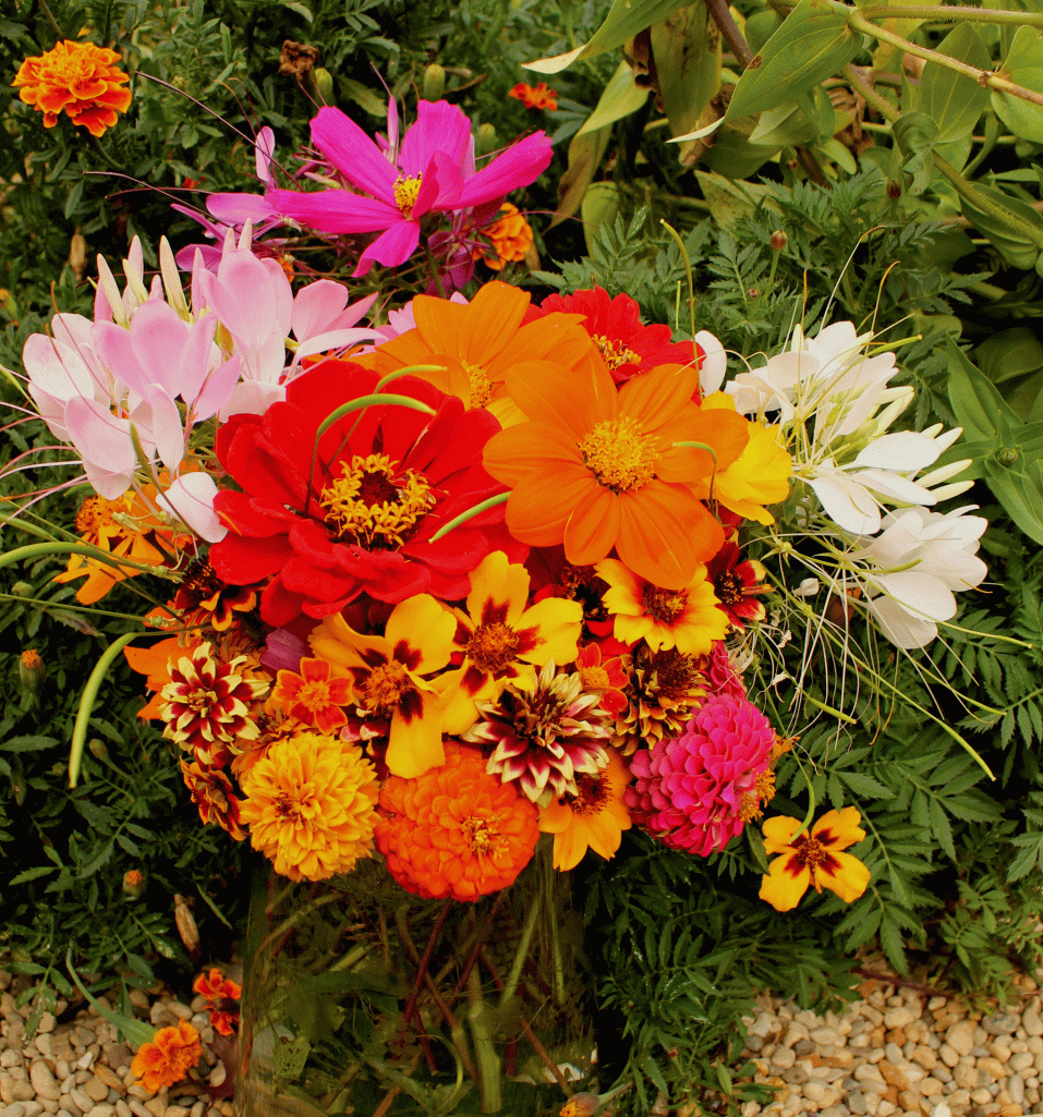 VAse-2014-heirloom-flowers-IMG_6461